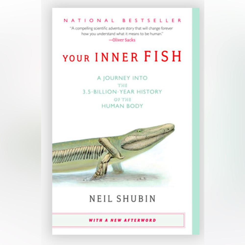 Your Inner Fish